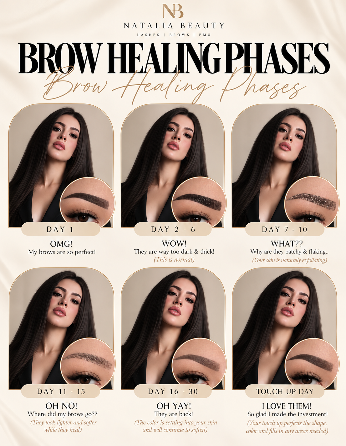 Natalia Beauty brow healing phases card showing brows from day one through touch-up day